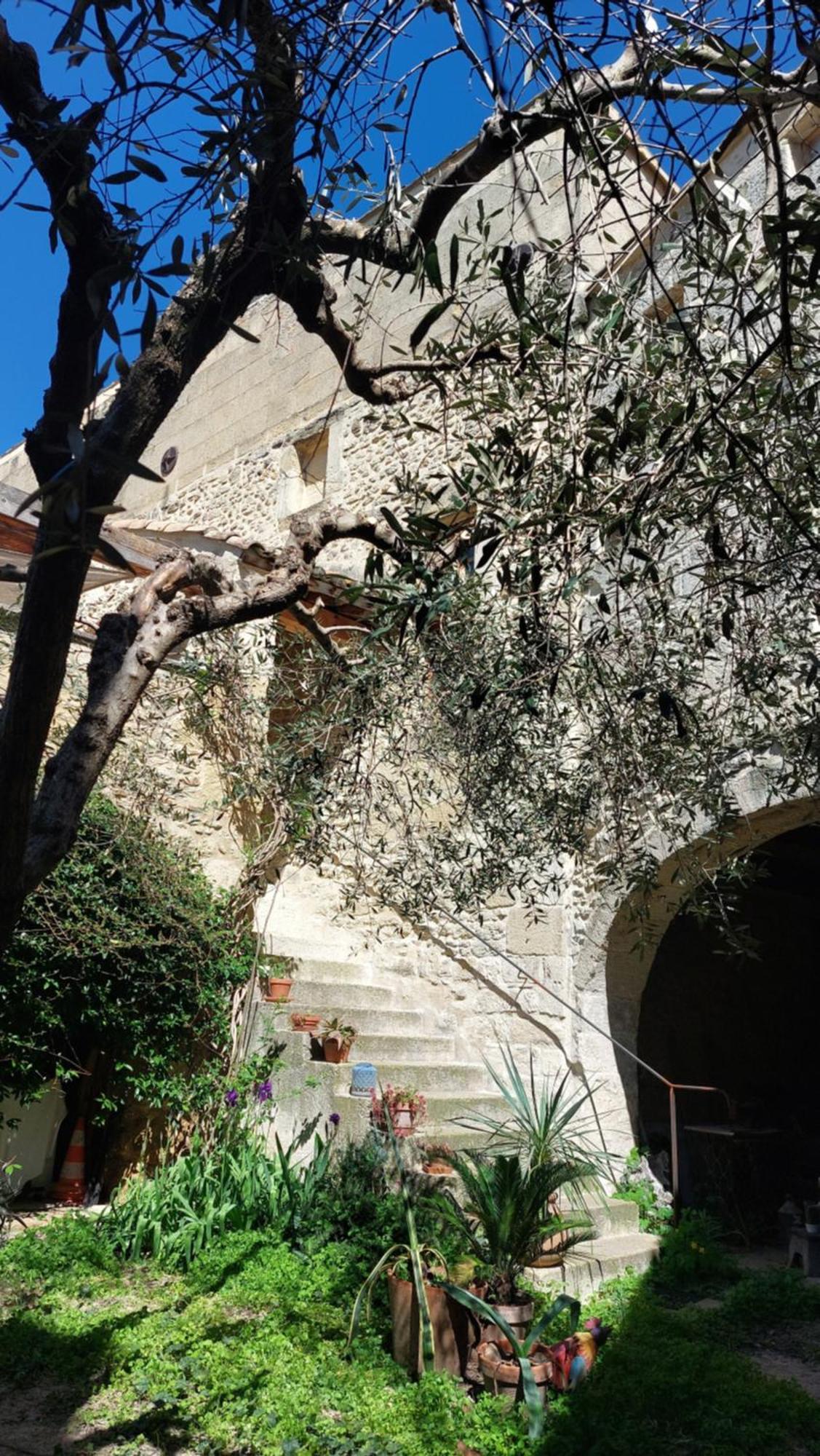 Appartamento Le Petit Domeynes Esterno foto